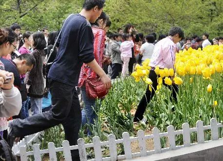 精品卡1卡二卡三国色天香 卡卡卡国但收藏者不能光看钱