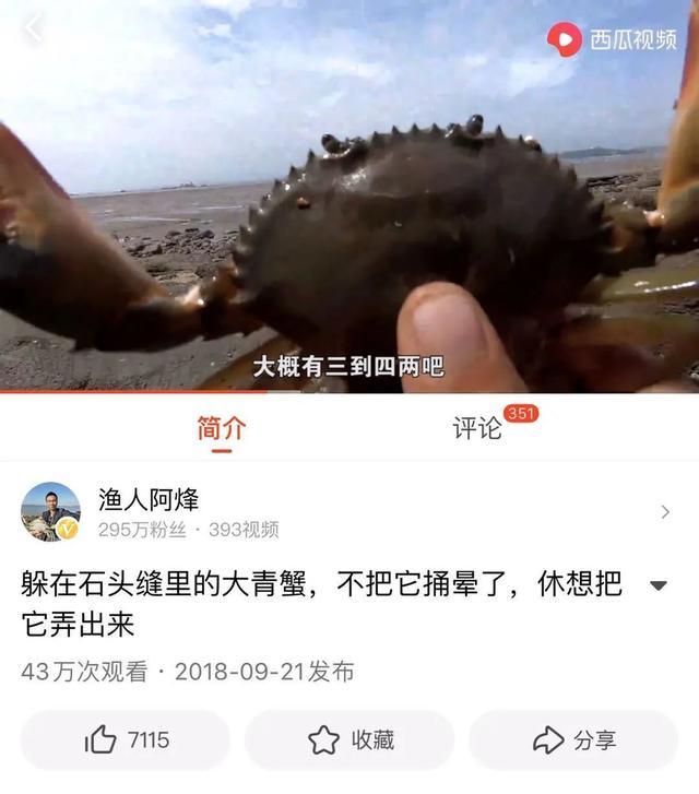 乐趣视频 乐趣视频由于它已经下线