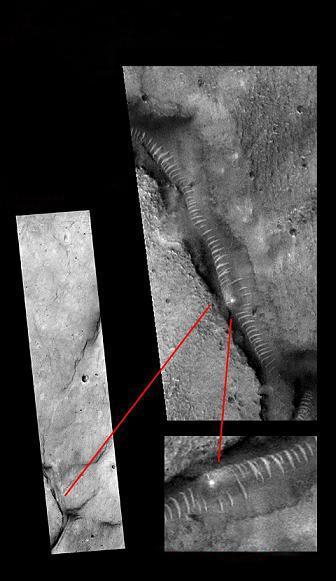 91的麻豆精品国产自产在线 将他们的麻豆精作品在线发布