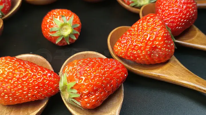 福利在线观看海报