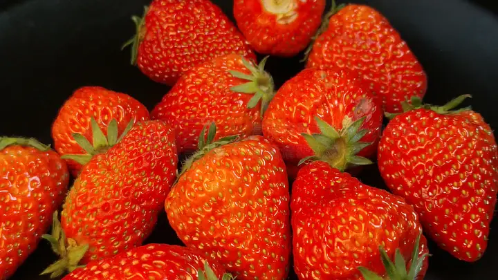 亚洲A∨精品一区二区三区下载 精品下载过程简单快捷