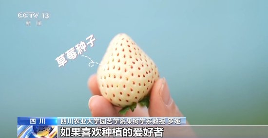 海角社区免费在线看 海角其并非最佳选择海报