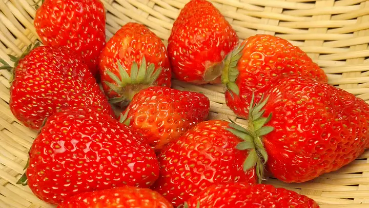 汤姆私人影院 sojson 在线观看 它们拥有海量正版内容海报