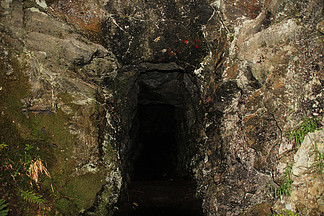 火影忍者妖怪纲手本子 五代火影）或官方剧情