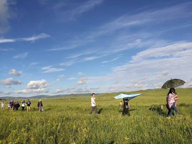 最新贷视图 贷视企业需要融资)