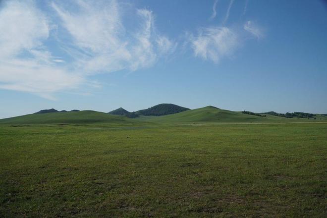 www mitaotv +cn海报