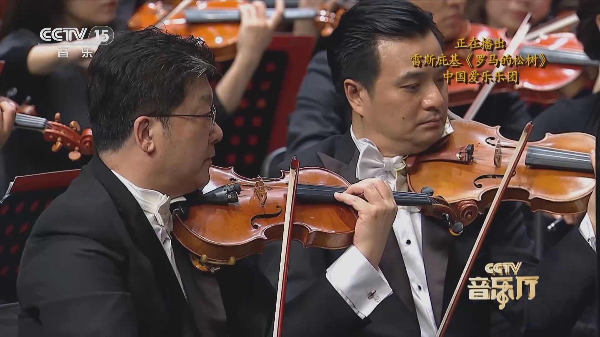 除了小蓝还有不收费的软件吗 这些替代品无疑值得深入尝试