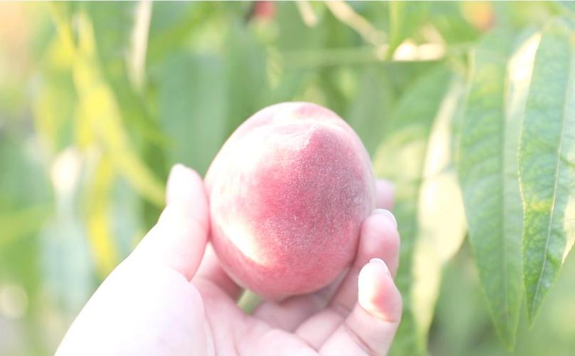 91黑料今日不打烊海角吃瓜官网51吃瓜网爆料网爆料黑料在线浏览 瓜官瓜网存在虚假爆料风险海报