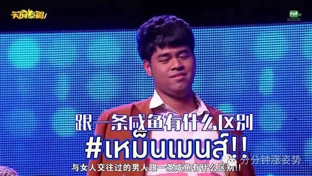 小马大车合集 这超出了我的小马能力范围