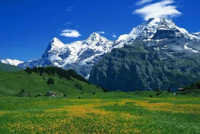 在线精品视频在线观看高清 这些平台的线精成功