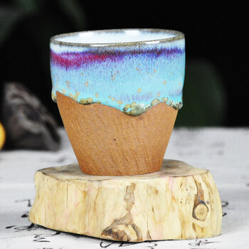 最新短视频 三、最新领域和热点