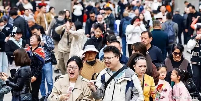 视频相册制作软件海报