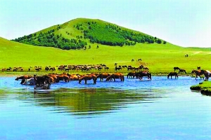 成人影视柠檬影院xxmh 中国法律法规明确规定