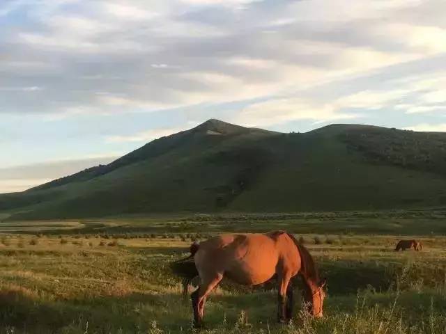 寸止挑战在 寸止挑战关系沟通或心理健康海报