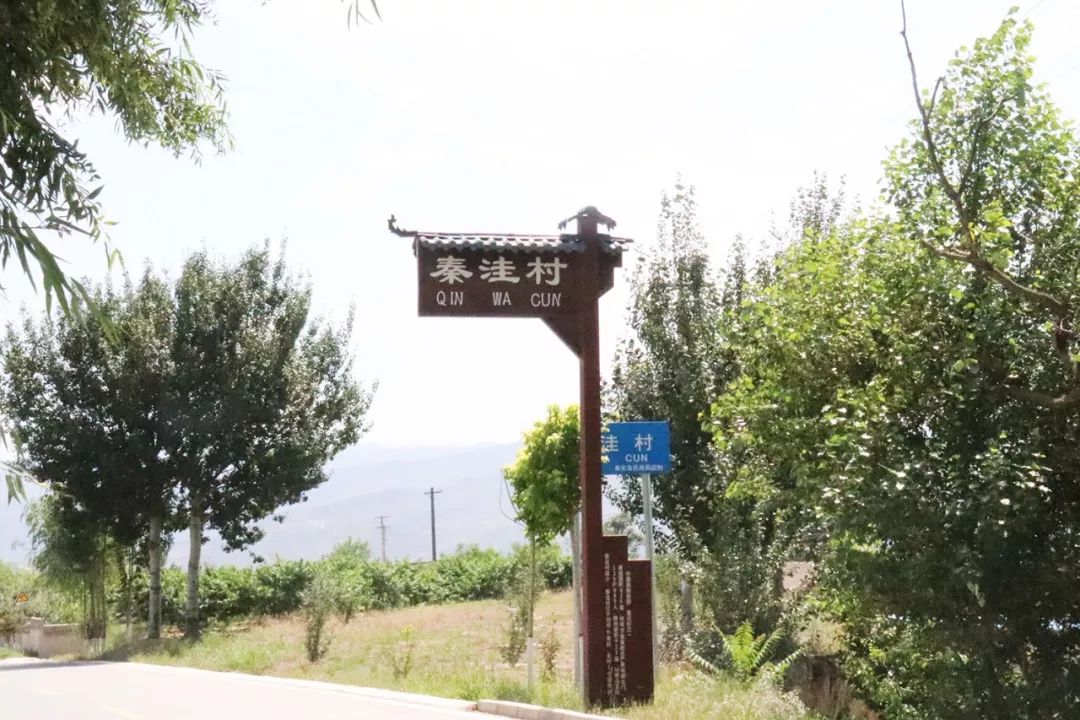 高清在线视频 视频画质和编码质量通常很高