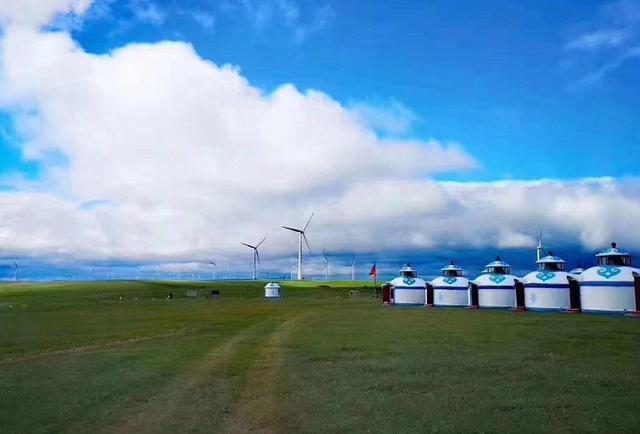 黑虎影视 黑虎影视是黑虎影视违法行为海报