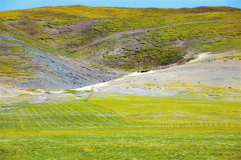 蜜臀91精品国产免费观看 这些内容不仅专业实用