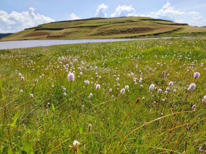 国自产拍 高清精品 