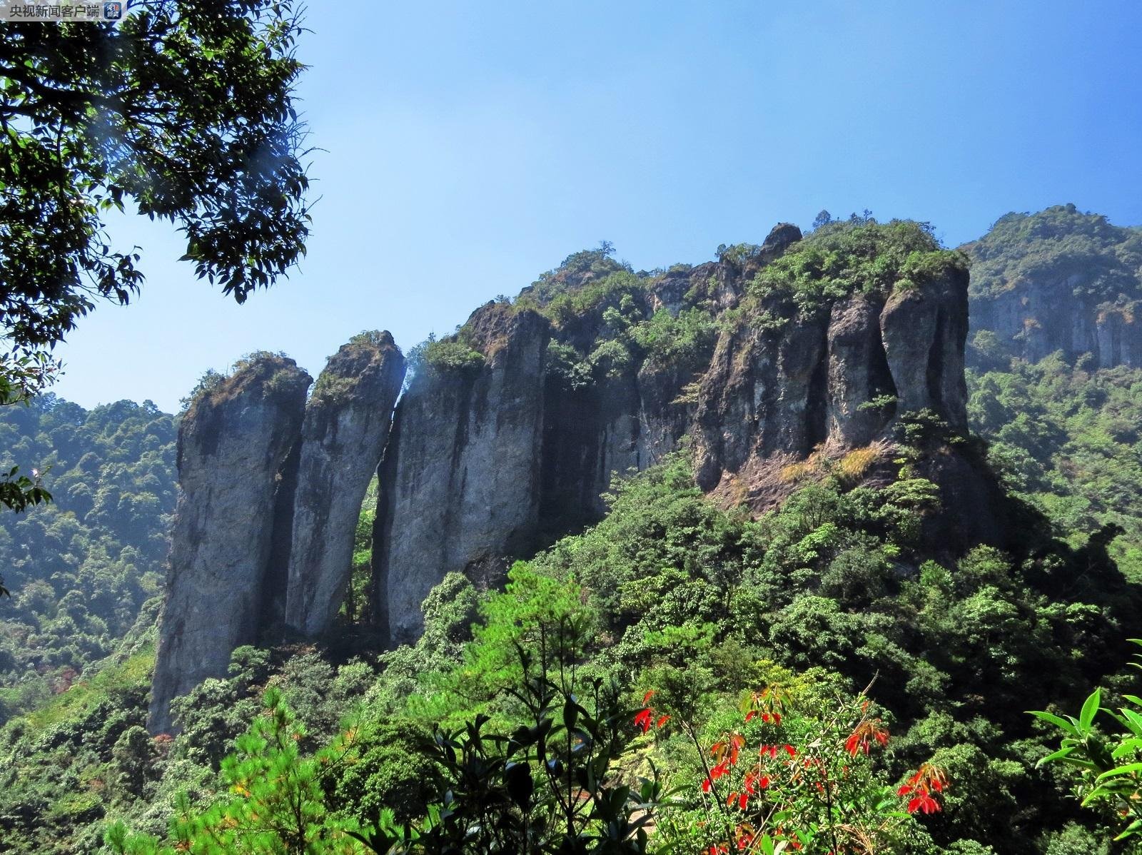 美女脱去裤子 美女模特快速换装脱去裤子海报
