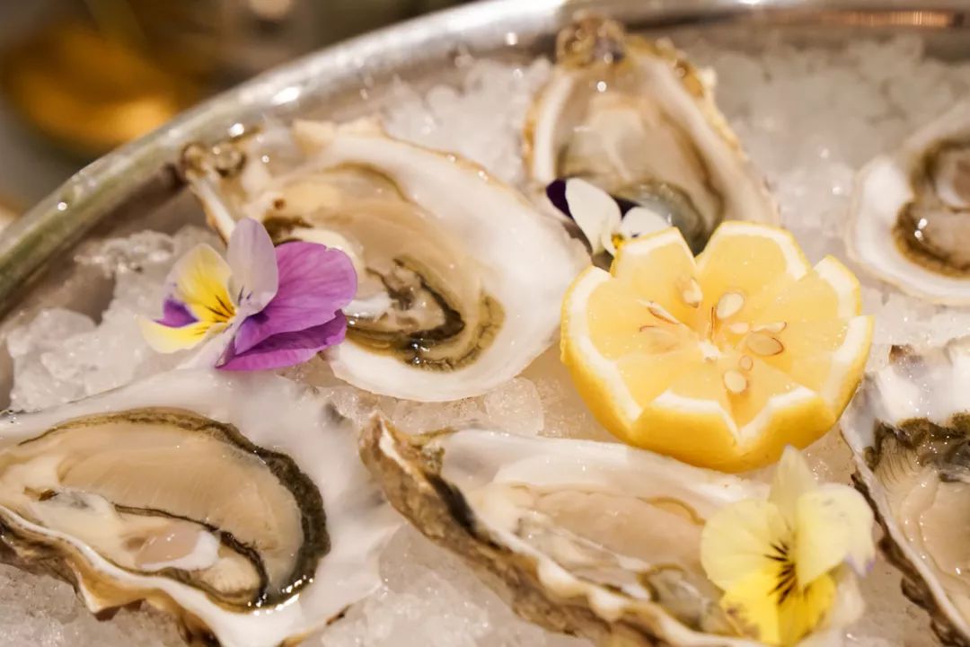 青青青青在线 是青青青青其中的时间悖论海报