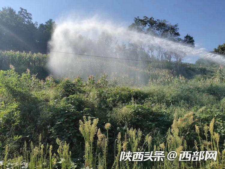 d-喷雾里番海报