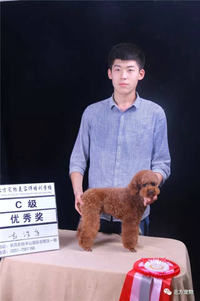 d-喷雾里番 雾里我非常乐意为你提供帮助