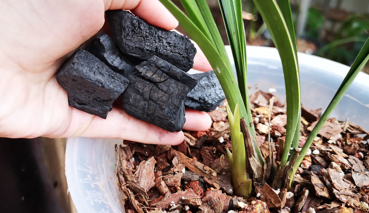 51吃瓜中心 明星动态及社群热议话题海报