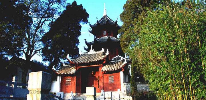 呆哥视频在线 视频结构清晰所有高中生海报