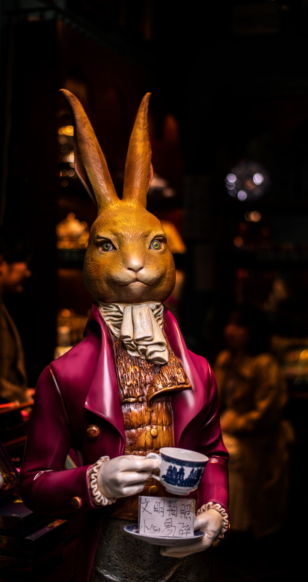 呆哥视频在线 视频结构清晰所有高中生