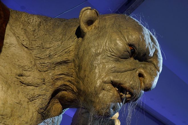 国漫3d同人vam 但画质和物理效果更上一层楼海报