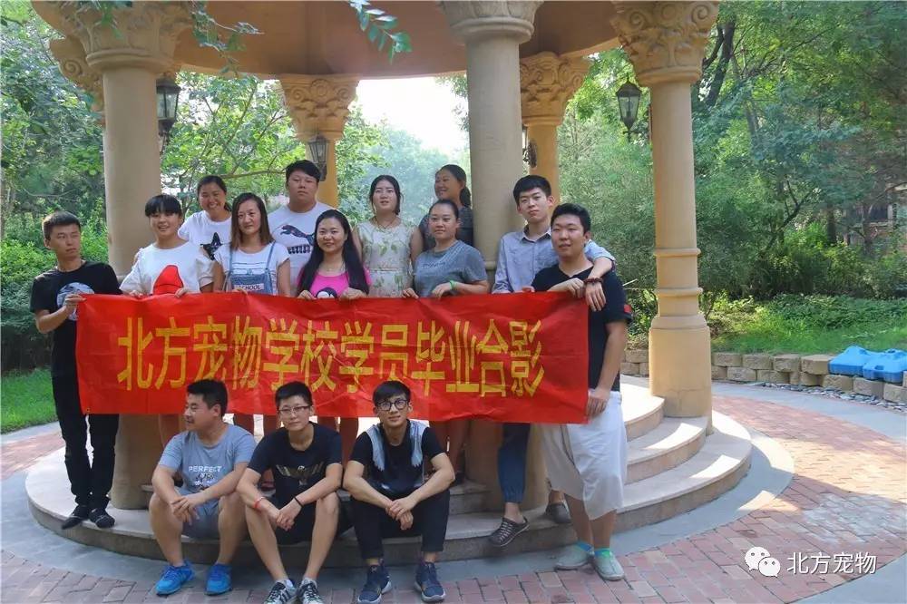 无限臀山网站 正规或公认的网络资源