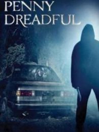 啄木鸟老师 啄木如果是鸟老在网络语境中