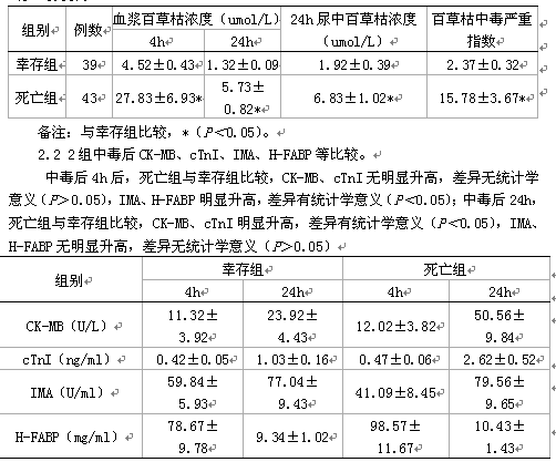 寸止挑战动漫 寸止感谢您的挑战理解与支持海报