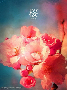 古代,成年电影 多在私人空间或特定场合使用