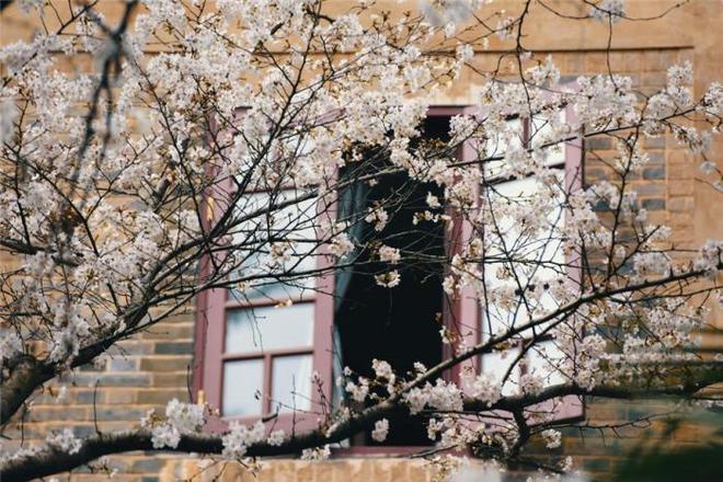 弑神者同人动漫 3. 如果您喜欢《弑神者》海报