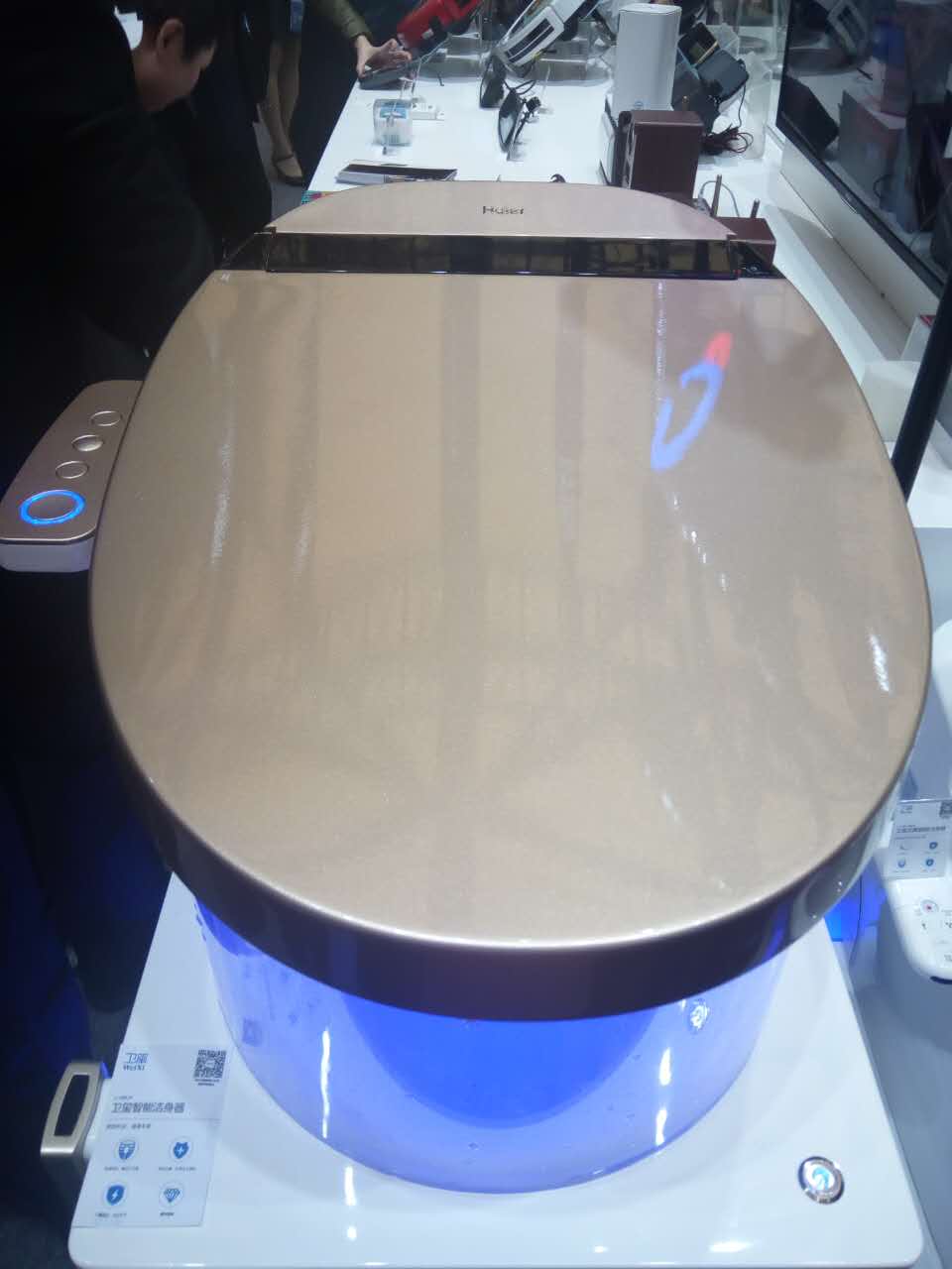 番茄塞逼 再经过蒸或烤制而成海报