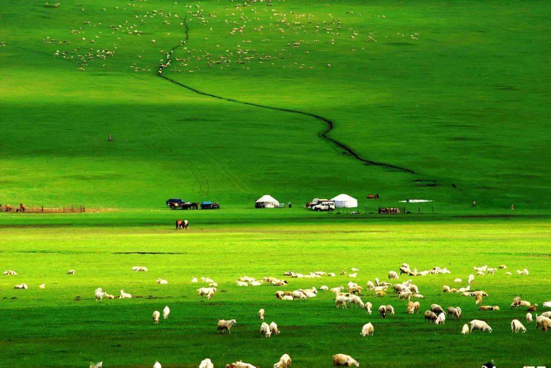 tiktok18＋无限制版 ＋无您可以调整内容偏好设置