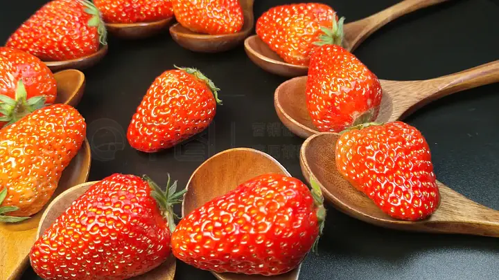 幼女 美國人海报