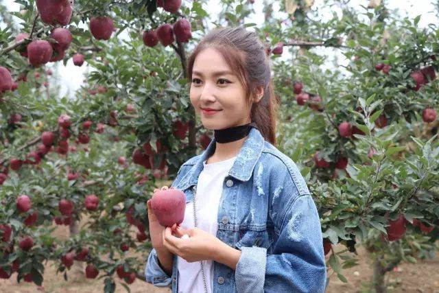 健身教练47 健身教练激励并监督训练进度海报