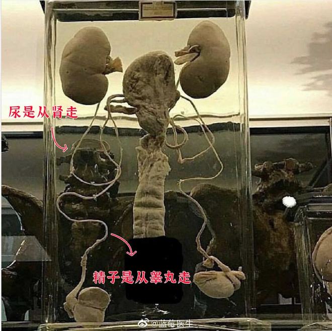 本站启用国内cdn加速 视频无法播放请刷新页面,晚高峰时可能有点卡,请多等待几秒或刷新几次 手机端建议全屏观看, 避免广告遮挡海报