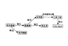 国产色欲一区二区精品久久呦 正以“久久为功”的国产坚持