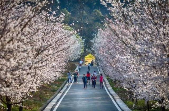 海角hj绿帽大神 用户体验友好输出稳定性好海报