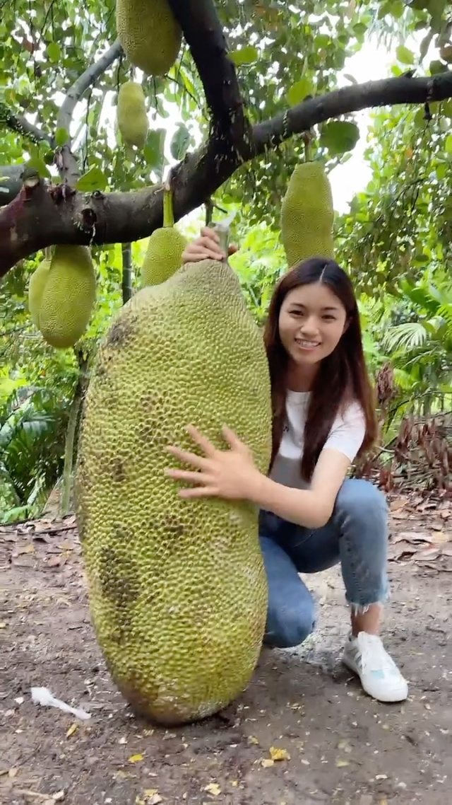 影视在线观看 影视经典国产剧库存多海报