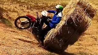 国产一区精品一区不卡导航海报