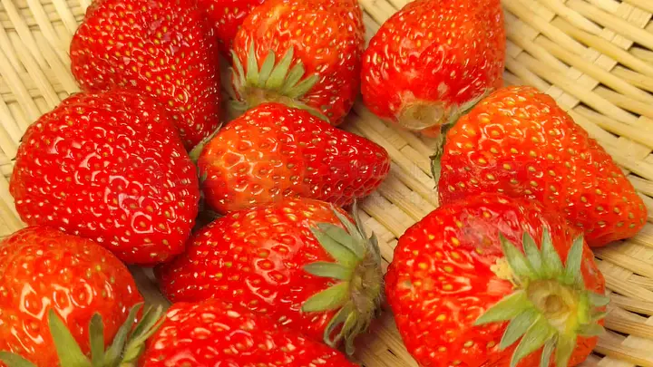 4ghha.cn 或者网站服务器已经停止运行