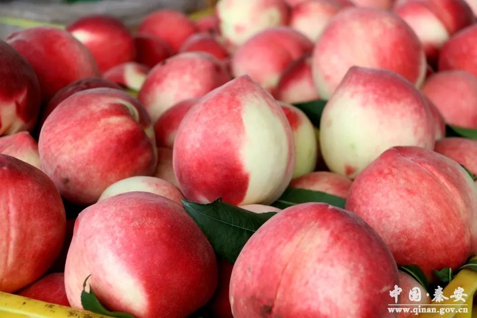 啄木鸟 换妻 啄木如果你有其他问题