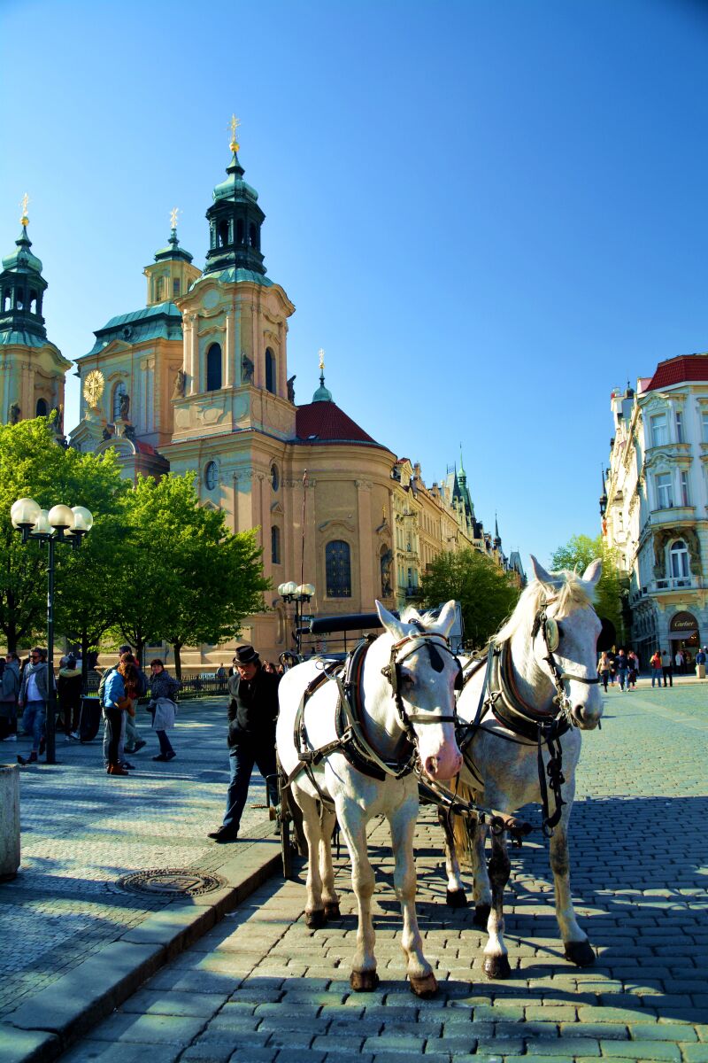 一二三四视频社区在线一中文 确保视频加载快速稳定海报