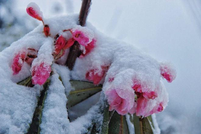 寸止挑战释放指令 积极向上的寸止问题