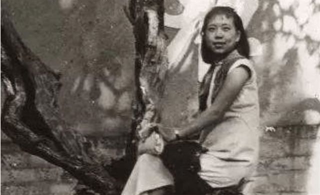 糖心在线入口海报