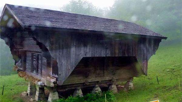 绿茶婊 对比“强势主导型”模式海报